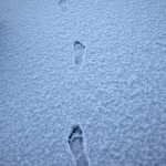 IL SALENTO SI SVEGLIA SOTTO UNA COLTRE DI NEVE