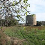 FURTO AD UN NEGOZIO DI UGGIANO LA CHIESA, PARTE DELLA REFURTIVA RITROVATA VICNO IL PARCO DEL RAUCCIO