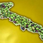 A MARGINE DEL CONVEGNO DELLA CONFAGRICOLTURA A TARANTO / ECCO QUALI SONO I VERI MALI DELLA OLIVICOLTURA PUGLIESE, DI CUI I VERTICI DELL’ ASSOCIAZIONE SONO STATI COMPLICI. E COSA SI PUO’ FARE PER GUARIRLI. SENZA L’ EXPO’