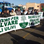 “LA VOCE DELL’ ULIVO” IN PIAZZA A LECCE, I COMMENTI DI ERIO CONGEDO E DI CRISTIAN CASILI