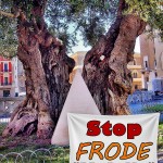 SALVARE ULIVI, SALENTO E SALENTINI  DAL CAVALLO DI TROIA DELLA XYLELLA