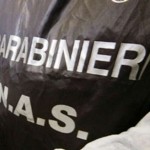 I Carabinieri sequestrano un lotto del medicinale VIPDOMET.