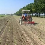 A PROPOSITO DEI TERRENI AGRICOLI AFFIDATI DALLA REGIONE A GIOVANI AGRICOLTORI /  SERVE PIU’ FORMAZIONE E MENO BUROCRAZIA
