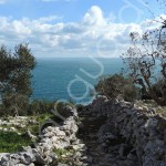 TREKKING / NEI SENTIERI DEL SALE DOMENICA 15