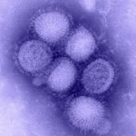 ANCORA UN ALTRO DECESSO / SALE A 5 IL NUMERO DELLE VITTIME DELL’ H1N1 NEL SALENTO