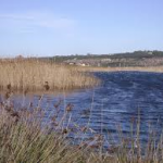 TREKKING / NEL PARCO DI UGENTO DOMENICA 1 MARZO