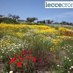 CONCLUSO IL CORSO: MONITORAGGIO PER L’AMBIENTE E SALVAGUARDIA DEL TERRITORIO