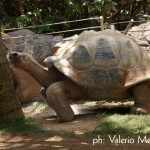 8 MARZO AL MUSEO DI STORIA NATURALE DEL SALENTO