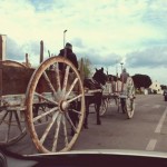 UN FRAMMENTO DI ETERNITA’ SALENTINA