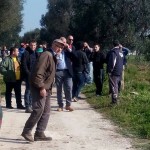 ULTIM’ORA / ENTRANO IN AZIONE LE RUSPE DELLA REGIONE PUGLIA PER ABBATTERE I PRIMI ULIVI A ORIA / GLI AMBIENTALISTI CERCANO DI FERMARLE