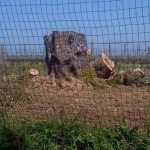 GIOVEDI’ MATTINA PRESIDIO DELLE ASSOCIAZIONI AMBIENTALISTE DAVANTI AL TRIBUNALE