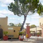 TIRO CON L’ ARCO IN AGRITURISMO