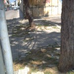 UN CASO DI DEGRADO URBANO A NARDO’