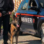 PRESUNTO SPACCIATORE ARRESTATO A NARDO’