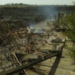 INCENDIO DOLOSO DANNEGGIA IL PARCO DEL RAUCCIO