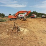 FOLLIA A TREPUZZI, QUESTA MATTINA ABBATTUTI ULIVI SECOLARI. MA LA XYLELLA NON C’ ENTRA. SERVIVA FARE SPAZIO PER COSTRUIRE UN’ INUTILE ROTATORIA