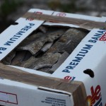 MA DI CHI E’ LA COLPA DI UNA SIMILE VERGOGNA? ADDIRITTURA AMIANTO ALTAMENTE CANCEROGENO IN BELLA VISTA SULLA LECCE SPORCHISSIMA