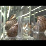 INIZIATIVE / AL MUSEO DI CALIMERA DOMENICA 28