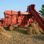 FESTE POPOLARI / RIEVOCAZIONI E DEGUSTAZIONI PER IL GRANO A CASTELLANETA DOMENICA 28