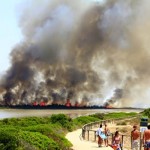 TORRE COLUMENA, IL BILANCIO DELL’ INCENDIO DI IERI