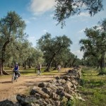 ESCURSIONI / IN BICI NEL PARCO PADULI DOMENICA 5