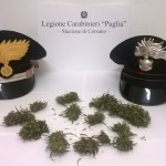 FINE SETTIMANA A MARE, I CONTROLLI DEI CARABINIERI SULLE SPIAGGE DEL SALENTO, FRA GIOVANI ‘FATTI’, AUTOMOBILISTI UBRIACHI AL VOLANTE E UN CINQUANTENNE ESIBIZIONISTA CON LE RAGAZZINE