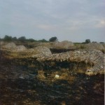 IL REGGAE SALENTINO E L’ ASSOCIAZIONE ‘LIBERA’ SI MOBILITANO PER ‘L’ ORTO DEI TURAT’ DISTRUTTO PER LA QUARTA VOLTA DA UN INCENDIO DOLOSO