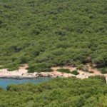 TREKKING / DI NOTTE A PORTOSELVAGGIO VENERDI’ 31