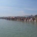 TUTTI FUORI DAL MARE! FLASH MOB CONTRO GLI SCARICHI NELLA RISERVA NATURALE A TORRE GUACETO