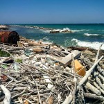 LA DISCARICA NELL’ OASI DELLE CESINE. SE NE PARLERA’ IN REGIONE PUGLIA IL PROSSIMO PRIMO SETTEMBRE