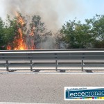 LE FOTO DELL’INCENDIO DIVAMPATO IERI A RIDOSSO DELLA STRADA STATALE 16 LECCE-MAGLIE