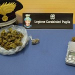 DENUNCIATI PERCHE’ TROVATI IN POSSESSO DI STUPEFACENTI