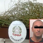 ARRESTATO PERCHE’ AMA LE PIANTE… SOPRATUTTO LA CANAPA