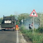 INCENDIO ALLE CESINE