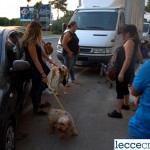 UN SABATO SERA DA CANI/ reportage