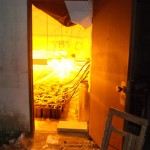 SCOPERTO IL LABORATORIO CLANDESTINO DELLA DROGA, IN MANETTE DUE GIOVANI LECCESI