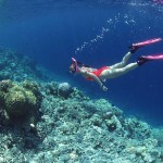 Sport: 4-11 ottobre ad Ischia i primi Mondiali di Apnea Outdoor. Il salentino Michele Giurgola tenterà di riconquistare il record Mondiale nella disciplina Jump Blue ottenuto nel 2012