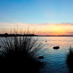 CORSO DI ECOLOGIA DI BASE / PER CHI ABBIA VOGLIA DI TORNARE A STUDIARE E APPROFONDIRE UNA TEMATICA FONDAMENTALE PER IL PROSSIMO FUTURO