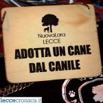 I NOSTRI AMICI ANIMALI / LE STORIE DI FEDERICA