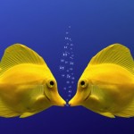 FIGLI DELLE STELLE / L’ OROSCOPO DI PSIC