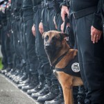 I NOSTRI AMICI ANIMALI / LE STORIE DI FEDERICA