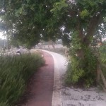 PISTE CICLABILI BISOGNOSE DI MANUTENZIONE