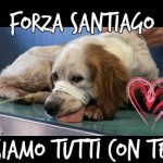 I NOSTRI AMICI ANIMALI / LE STORIE DI FEDERICA