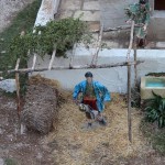 GRAZIE PER LA FOTO