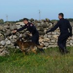 SCOPERTO UN ARSENALE MILITARE DELLA SACRA CORONA UNITA  IN UNA MASSERIA NELLA ZONA DI CERRATE