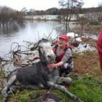 I NOSTRI AMICI ANIMALI / LE STORIE DI FEDERICA