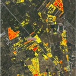 XYLELLA / leccecronaca.it INTERVISTA LO SCIENZIATO / LA MAPPA DELLA DISCORDIA SPIEGATA DA ANTONIO LO PORTO