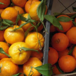 LADRI DI MANDARINI