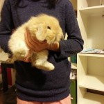 I NOSTRI AMICI ANIMALI / LE STORIE DI FEDERICA