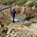 IL DRAMMA DEI MIGRANTI MORTI IN MARE ARRIVA SULLE NOSTRE COSTE. IL CADAVERE DI UNA DONNA SOMALA TROVATO SULLA SPIAGGIA DI PATU’. MA ALTRI MANCANO ALL’ APPELLO. IL VESCOVO DI UGENTO DURO E FORTE CON I POLITICI: “Si abbattano i muri ideologici, e si risolvano i problemi nei Paesi di origine”